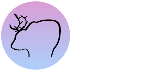 the logo for Stuart Thomson Foto